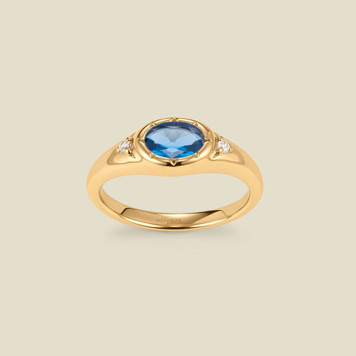 December Oval Birthstone Signet Ring