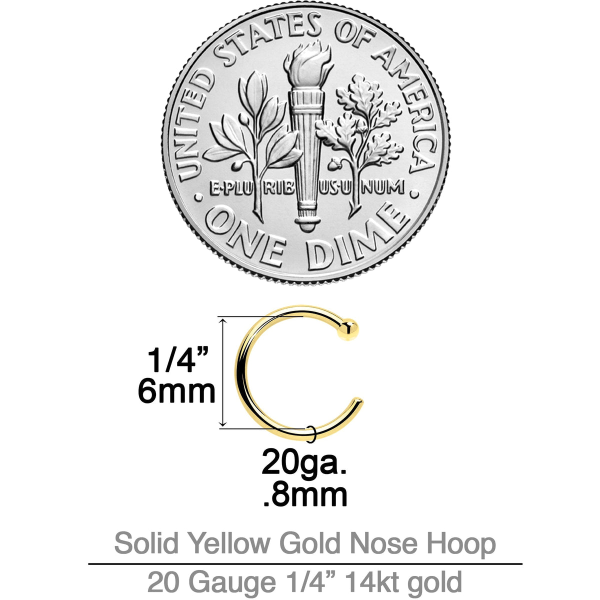 20G 1/4 14k Solid Yellow Gold Nose Hoop