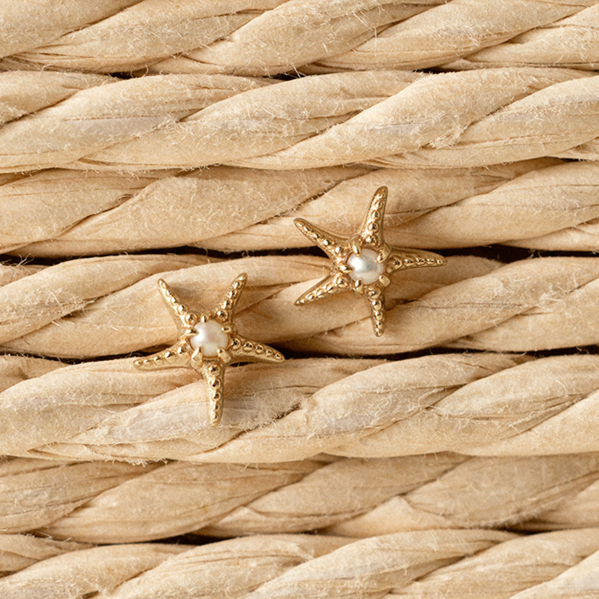 Starfish Stud Earrings