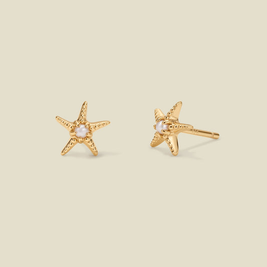 Starfish Stud Earrings