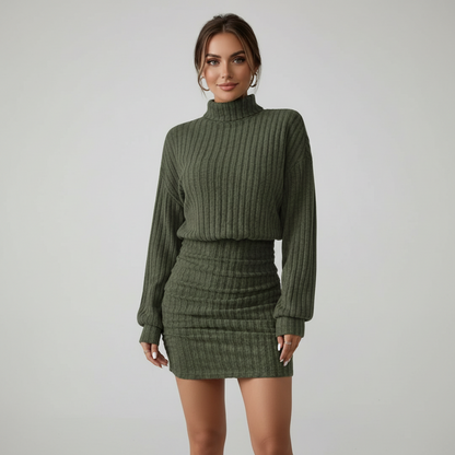 Turtleneck Long Sleeved Ribbed Dress